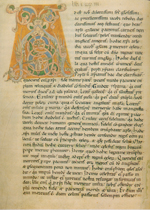 Libro I, cap. VII (Fol. 31 v)